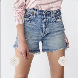 Agolde Dee High Rise Short in Ricochet